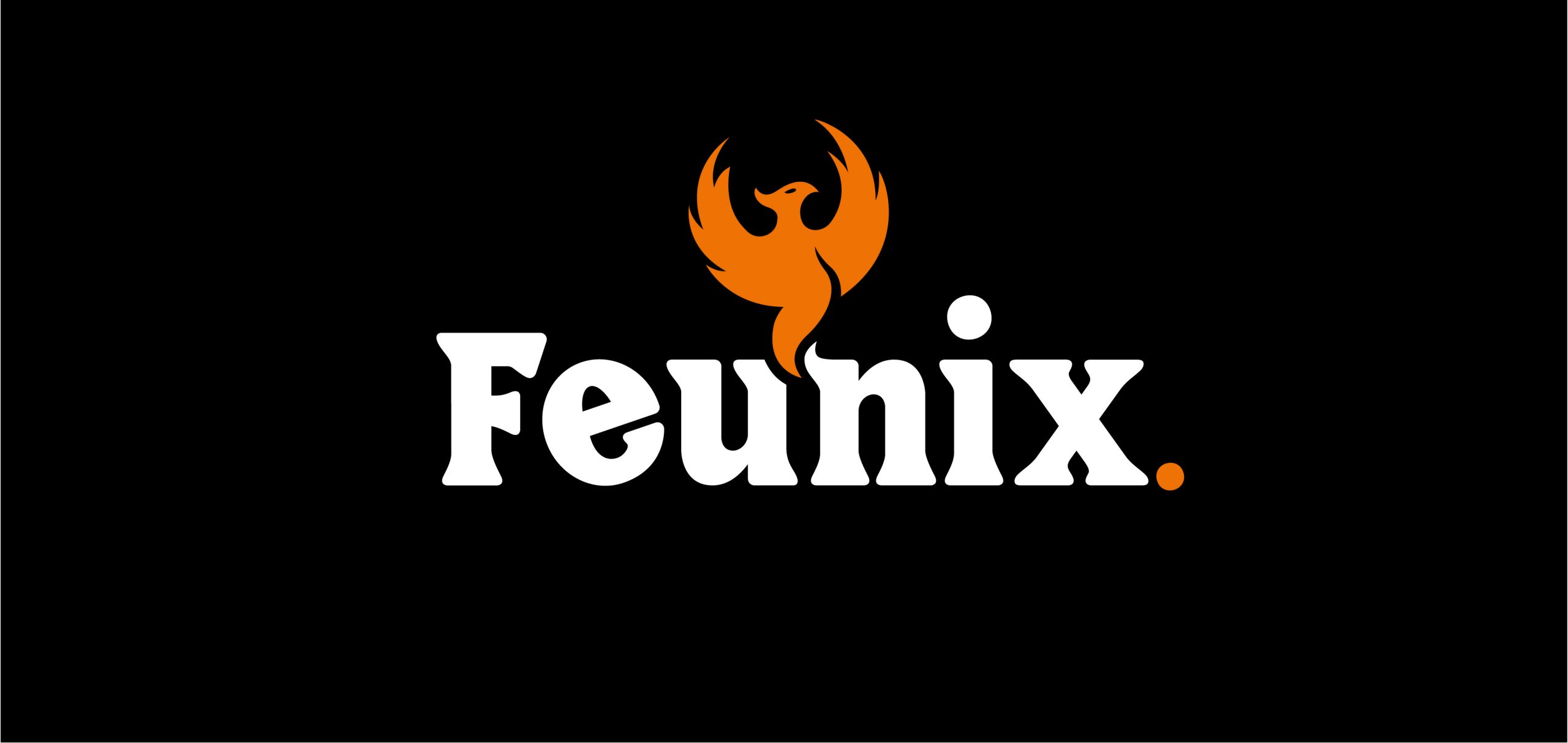 FEUNIXPlan-de-travail-7-copie-4